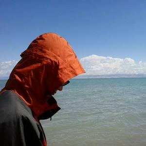 人野兽马狗猪最新视频
